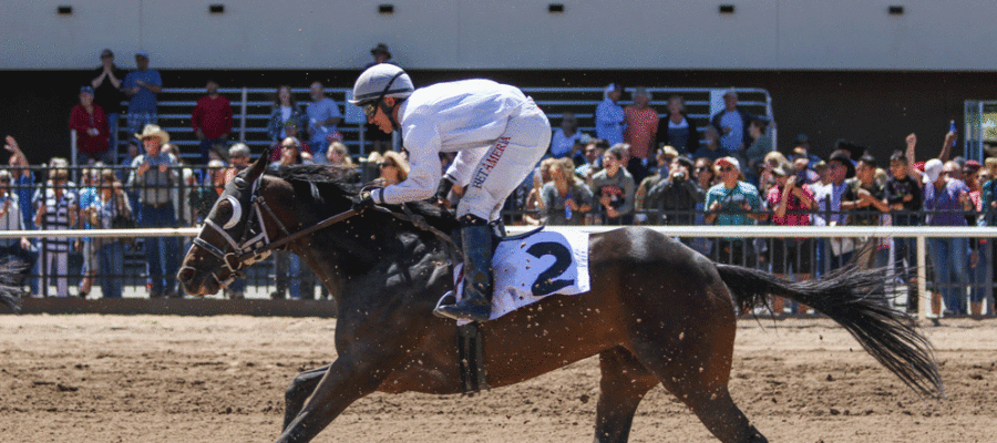 Jockey riding a horse in front of a crowd