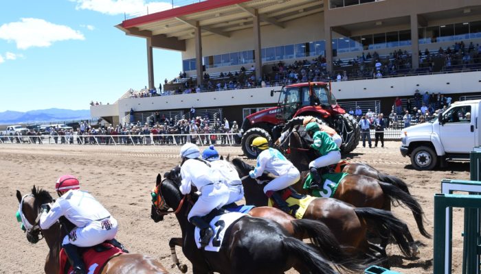 Race horses breaking from the starting gate.