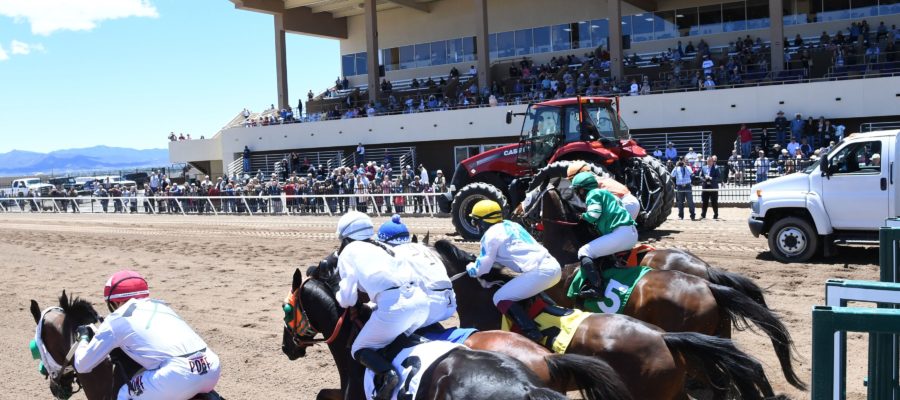 Race horses breaking from the starting gate.