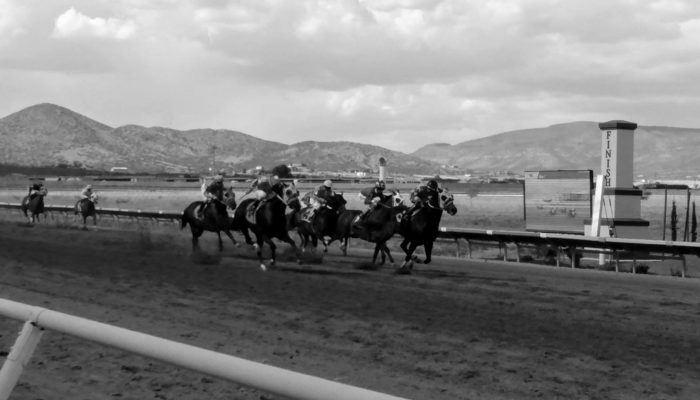 Black and White photo of horses racing